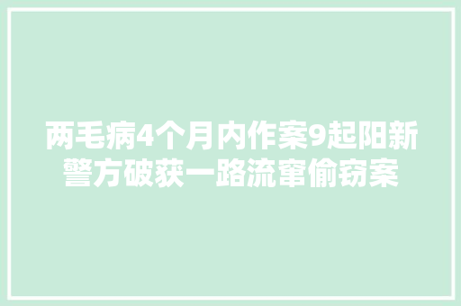 两毛病4个月内作案9起阳新警方破获一路流窜偷窃案