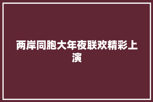 两岸同胞大年夜联欢精彩上演