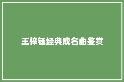 王梓钰经典成名曲鉴赏
