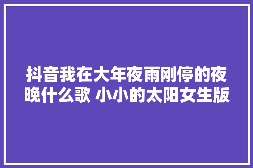 抖音我在大年夜雨刚停的夜晚什么歌 小小的太阳女生版
