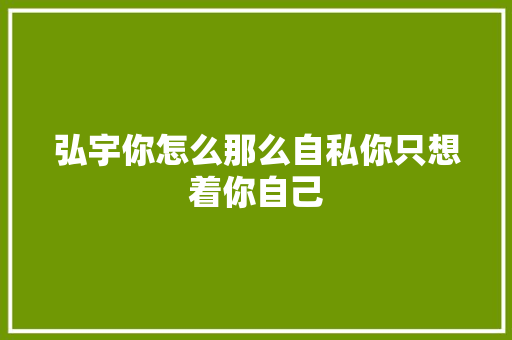 弘宇你怎么那么自私你只想着你自己