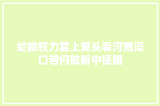 给微权力套上笼头看河南周口若何破解中梗阻