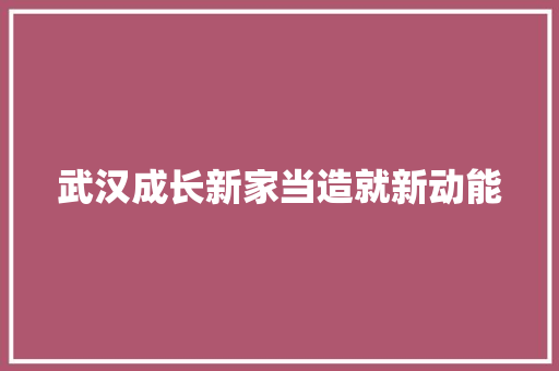 武汉成长新家当造就新动能