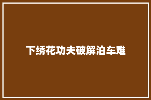 下绣花功夫破解泊车难