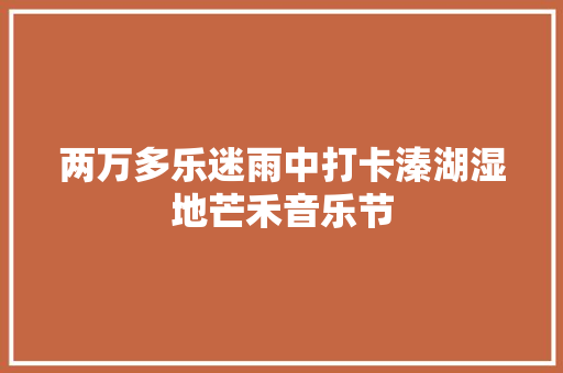 两万多乐迷雨中打卡溱湖湿地芒禾音乐节