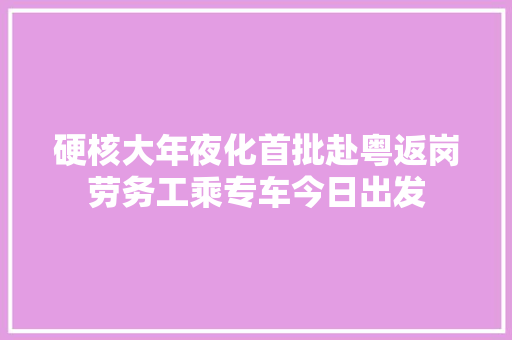 硬核大年夜化首批赴粤返岗劳务工乘专车今日出发