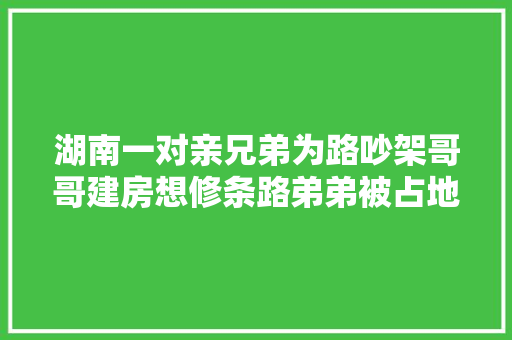 湖南一对亲兄弟为路吵架哥哥建房想修条路弟弟被占地不合意