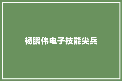 杨鹏伟电子技能尖兵