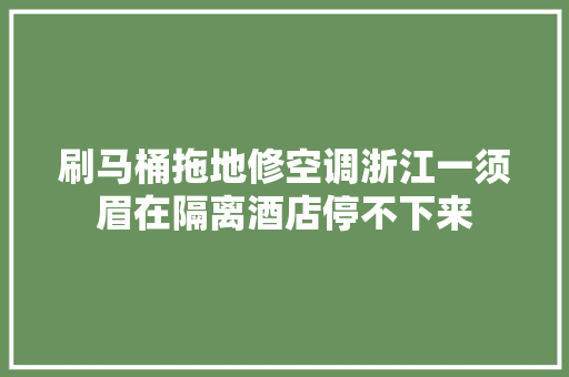 刷马桶拖地修空调浙江一须眉在隔离酒店停不下来
