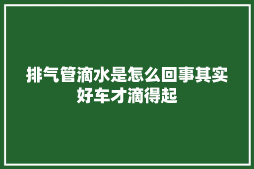 排气管滴水是怎么回事其实好车才滴得起