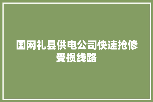 国网礼县供电公司快速抢修受损线路