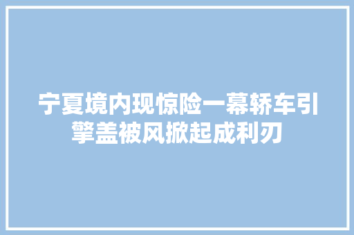 宁夏境内现惊险一幕轿车引擎盖被风掀起成利刃