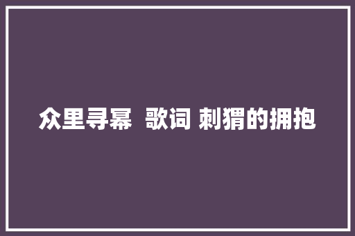 众里寻幂  歌词 刺猬的拥抱