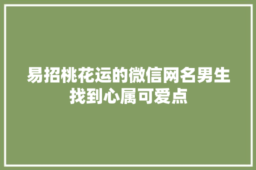 易招桃花运的微信网名男生找到心属可爱点