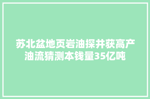 苏北盆地页岩油探井获高产油流猜测本钱量35亿吨