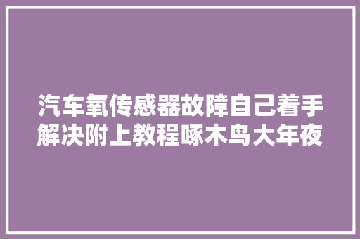 汽车氧传感器故障自己着手解决附上教程啄木鸟大年夜师