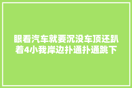 眼看汽车就要沉没车顶还趴着4小我岸边扑通扑通跳下一群热忱市平易近