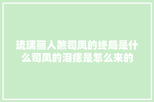 琉璃丽人煞司凤的终局是什么司凤的泪痣是怎么来的