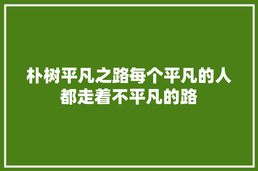 朴树平凡之路每个平凡的人都走着不平凡的路 休闲娱乐