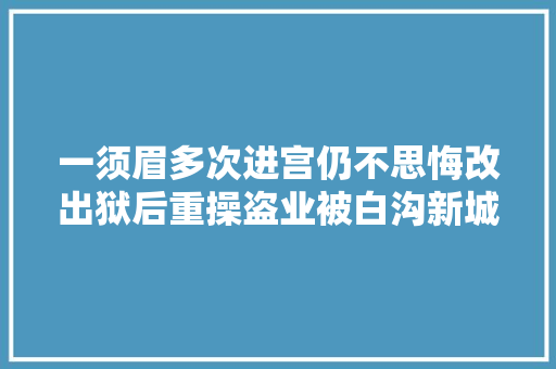 一须眉多次进宫仍不思悔改出狱后重操盗业被白沟新城警方抓获归案