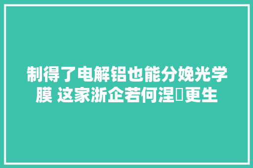 制得了电解铝也能分娩光学膜 这家浙企若何涅槃更生