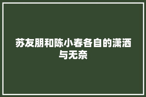 苏友朋和陈小春各自的潇洒与无奈
