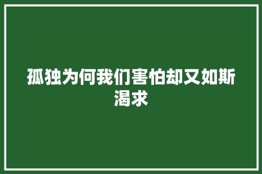 孤独为何我们害怕却又如斯渴求 休闲娱乐