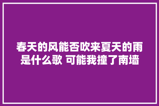 春天的风能否吹来夏天的雨是什么歌 可能我撞了南墙才会回头歌词