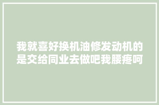 我就喜好换机油修发动机的是交给同业去做吧我腰疼呵呵