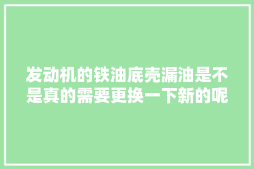 发动机的铁油底壳漏油是不是真的需要更换一下新的呢