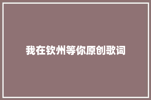 我在钦州等你原创歌词