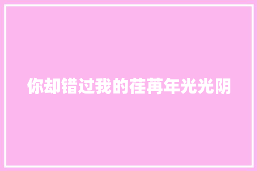 你却错过我的荏苒年光光阴