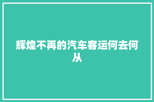 辉煌不再的汽车客运何去何从