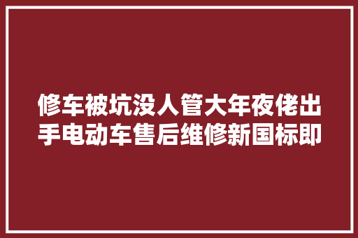 修车被坑没人管大年夜佬出手电动车售后维修新国标即将宣告