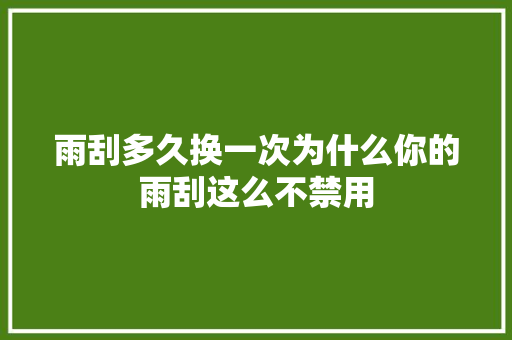 雨刮多久换一次为什么你的雨刮这么不禁用