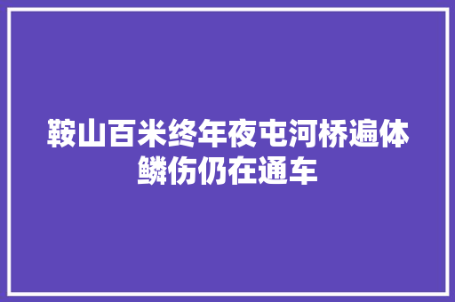 鞍山百米终年夜屯河桥遍体鳞伤仍在通车