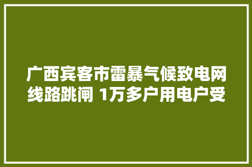广西宾客市雷暴气候致电网线路跳闸 1万多户用电户受影响