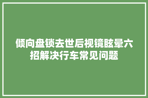 倾向盘锁去世后视镜眩晕六招解决行车常见问题