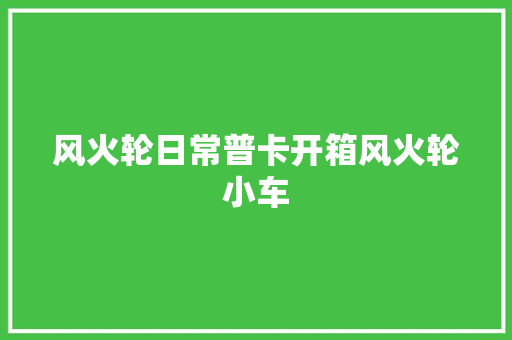 风火轮日常普卡开箱风火轮小车