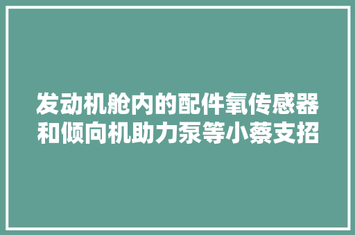 发动机舱内的配件氧传感器和倾向机助力泵等小蔡支招十