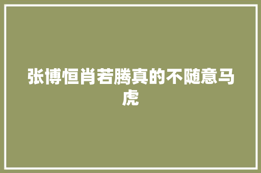 张博恒肖若腾真的不随意马虎