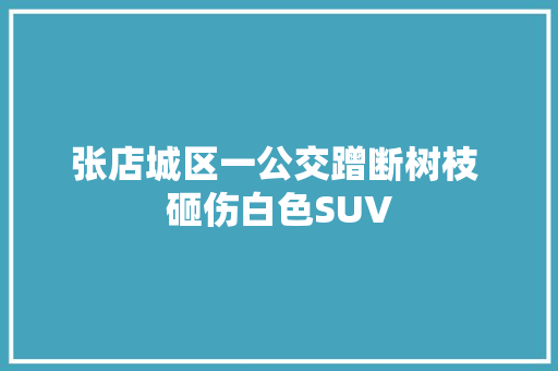 张店城区一公交蹭断树枝 砸伤白色SUV