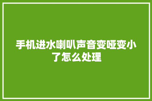 手机进水喇叭声音变哑变小了怎么处理