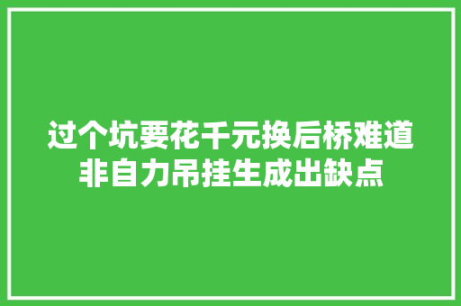 过个坑要花千元换后桥难道非自力吊挂生成出缺点