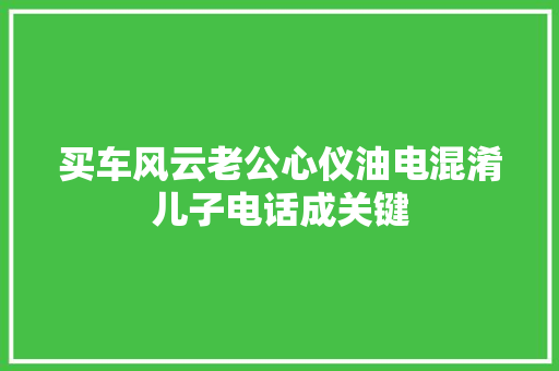 买车风云老公心仪油电混淆儿子电话成关键 汽车知识