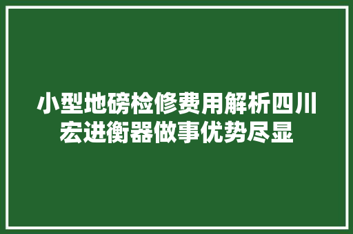 小型地磅检修费用解析四川宏进衡器做事优势尽显