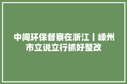 中间环保督察在浙江丨嵊州市立说立行抓好整改