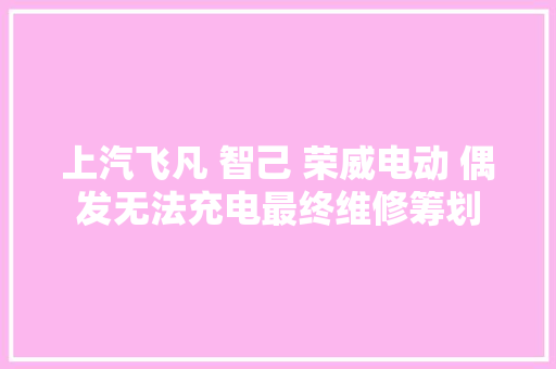 上汽飞凡 智己 荣威电动 偶发无法充电最终维修筹划