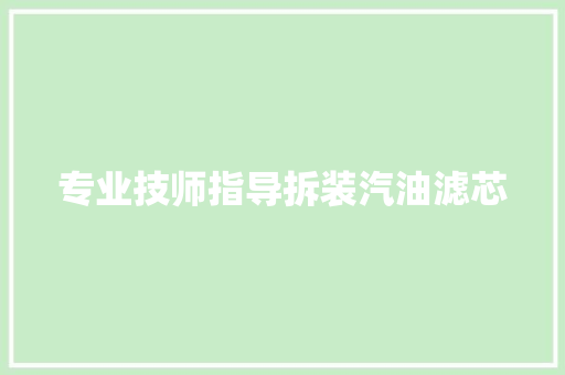 专业技师指导拆装汽油滤芯