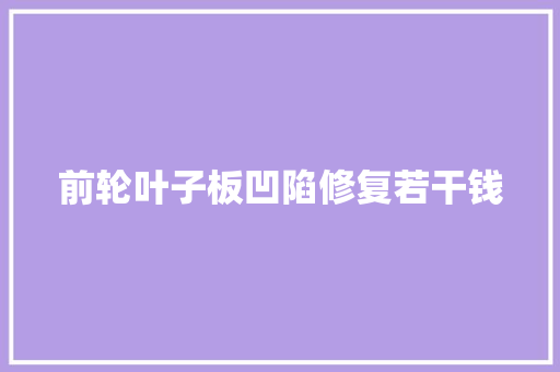 前轮叶子板凹陷修复若干钱